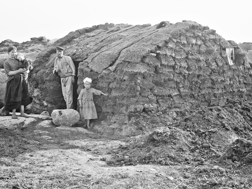 Dublin: Irish Famine Exhibition Entry Ticket - Room-by-room storyboards: the timeline that makes sense