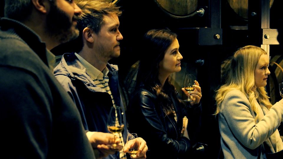 Dublin: Jameson and Guinness Private Tour with Transfers - Who this tour is best for (and who should reconsider)