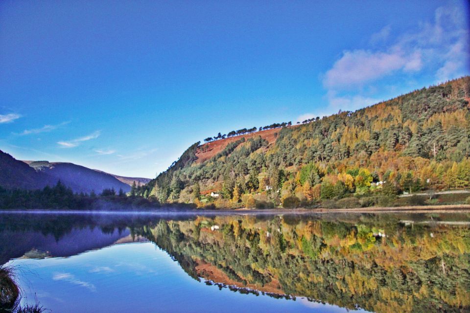Dublin: Kilkenny, Wicklow & Glendalough Tour & Sheepdog Show - Price and value: why $34 can feel like a deal
