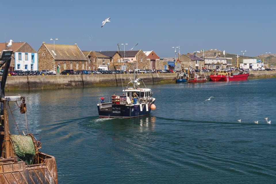 DUBLIN: Malahide castle and Howth MULTILINGUAL full day tour - Gardens first, then Howth: how the day transitions
