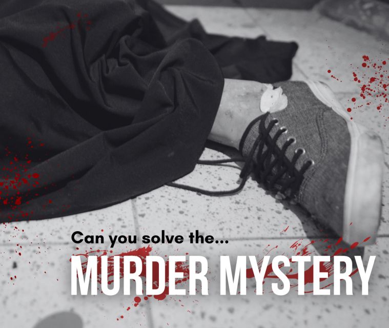 Dublin: Murder Mystery at the National Wax Museum - Price and what $26 really buys you