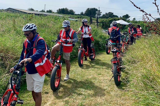 Dublin Panoramic e-Bike Tour with Howth Adventures - Guides: why the stories matter as much as the scenery