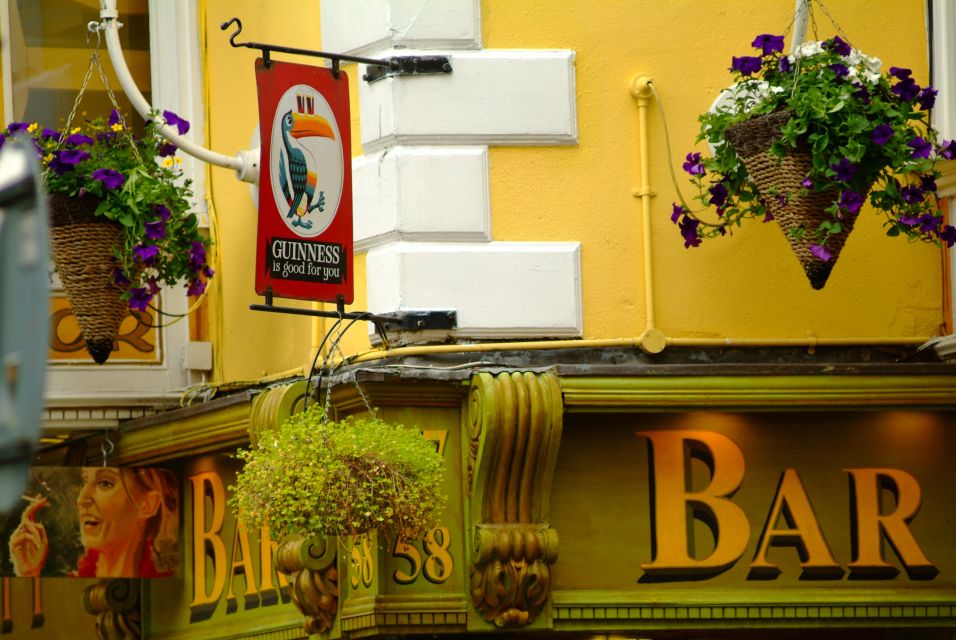 Dublin: Private City Tour in German - German-language guiding: humor, pace, and real explanations