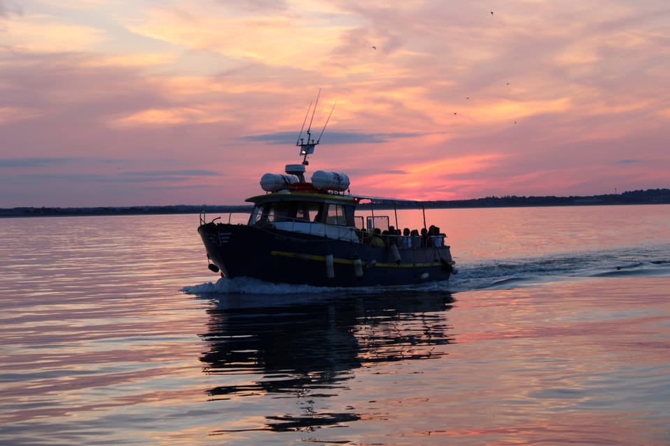 Dublin: Sunset Cruise in Howth - Leaving Howth Harbour: the first 10 minutes are the vibe