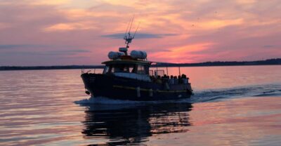Dublin: Sunset Cruise in Howth - Getting to the West Pier and boarding at Island Ferries