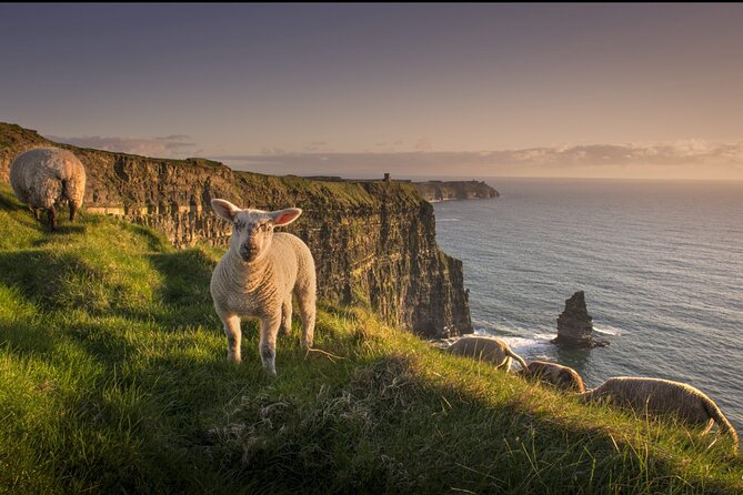 Dublin to Cliffs of Moher, Ennis Town & Bunratty Castle Day Tour - Ennis: Purple Flag friendliness and a short guided walk