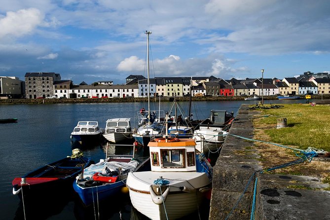 Dublin to Cliffs of Moher, including Wild Atlantic Way and Galway - The Burren: limestone quirks, plant facts, and weather-permitting photo time