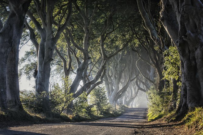 Dublin to Dunluce Castle, Giant's Causeway, Dark Hedges & Belfast - Value check: is $96.74 fair for all this?