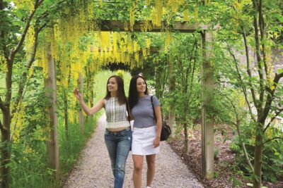 Dublin to Rock of Cashel, Cork City & Blarney Castle Guided Tour - Cork City in 1.5 hours: English Market and Rebel City energy