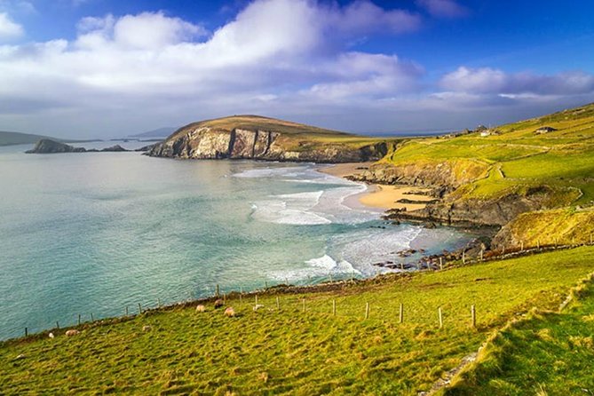 Dublin to South West 5 Day Small-Group Tour with Accommodation - Day 2: The Burren, Kilfenora crosses, and the Cliffs of Moher walk you’ll remember