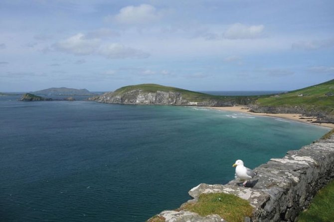 Dublin to South West 5 Day Small-Group Tour with Accommodation - Day 3: Dingle Peninsula with Inch Beach and Slea Head Drive