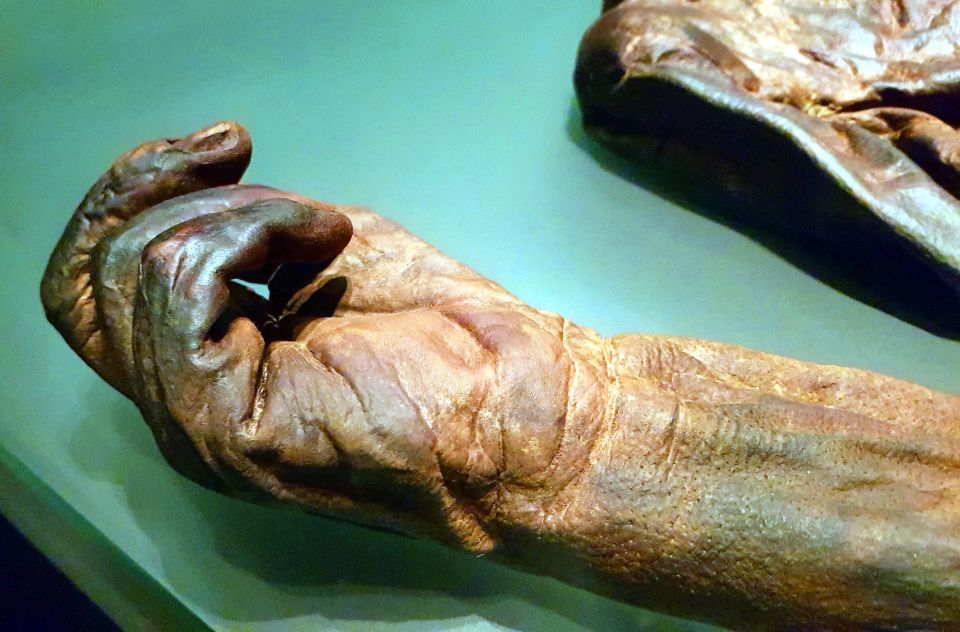 Dublin: Treasures of Ireland Museums Private Tour - How the half-way break helps you stay sharp