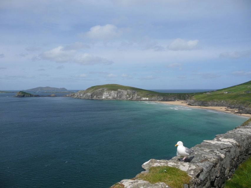 From Dublin: 5-Day Tour to the Southwest with Accommodation - The Burren: that lunar limestone feeling in practical terms
