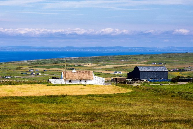 From Dublin: Cliffs of Moher, Bird of Prey & Aillwee Cave - Cliffs of Moher visitor centre and the cliff-edge walk: the headline you came for