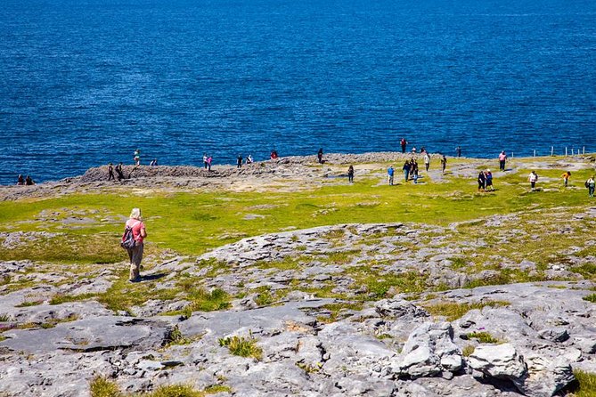 From Dublin: Cliffs of Moher, Bird of Prey & Aillwee Cave - Boat ride vs bird of prey: how the day changes when the Atlantic gets serious