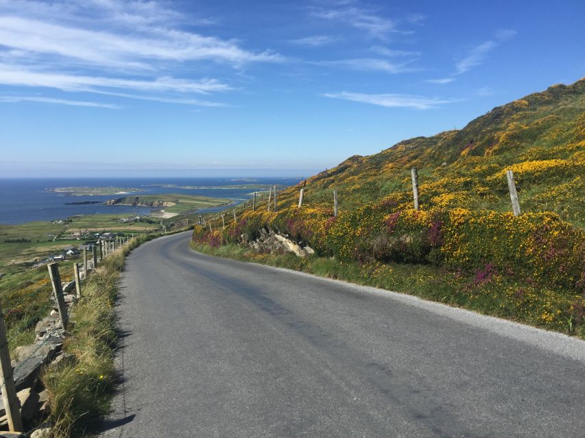 From Dublin: Connemara and Galway Bay Day Tour - From Heuston to Galway: why the train-forward start matters