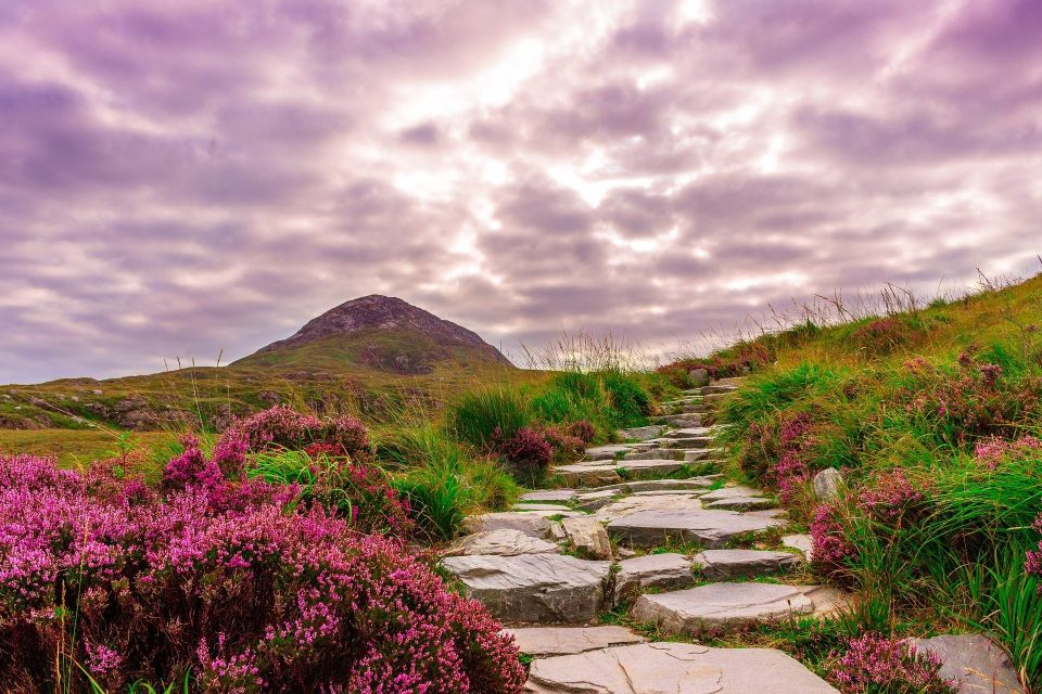 From Dublin: Connemara and Galway Bay Day Tour - Price and value: is $158 a good deal?