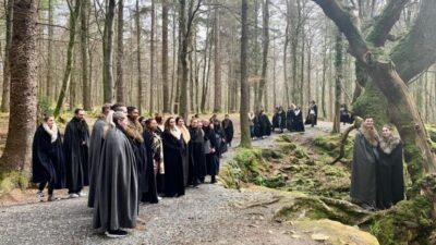 From Dublin: Game of Thrones Winterfell Locations Tour - Tollymore Forest Park: where you earn the direwolf-moment photos