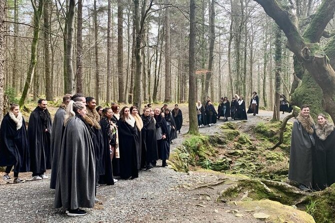 From Dublin: Game of Thrones Winterfell Locations Trek - Inch Abbey Photo Stop: The Robb Stark Ruins Moment