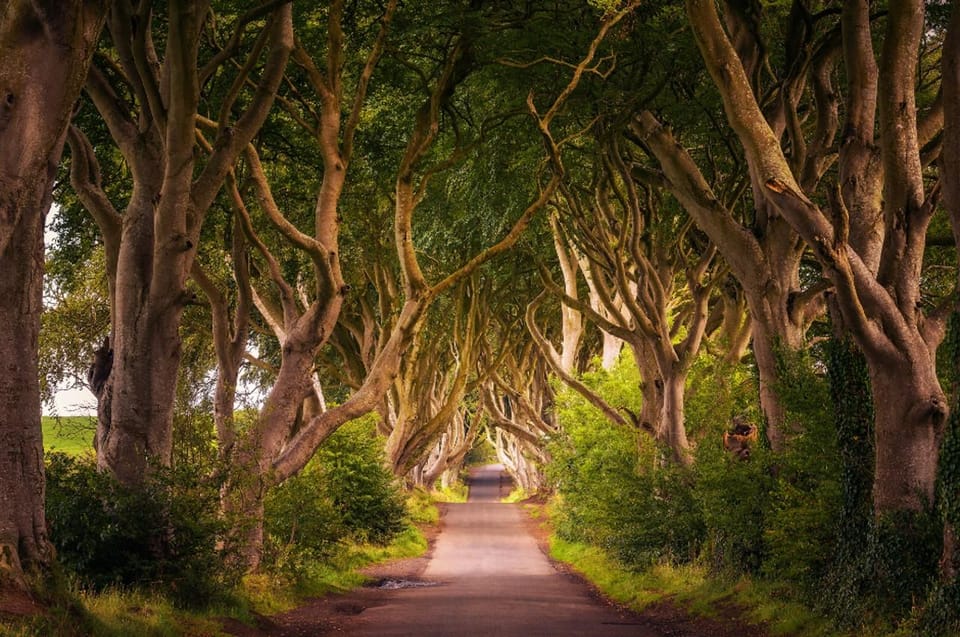 From Dublin: Giant's Causeway, Dark Hedge & Belfast Tour - Dark Hedges: Turning a 40-Minute Photo Stop Into a Real Experience