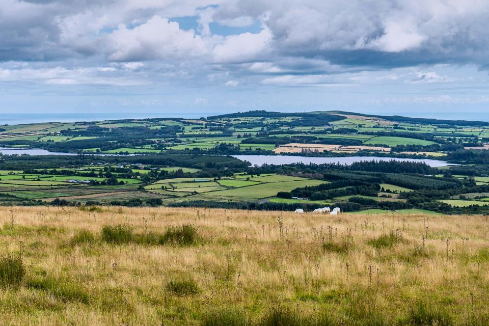 From Dublin: Wicklow Mountains, Glendalough & Kilkenny Tour - Price and value: is $45 a good deal?