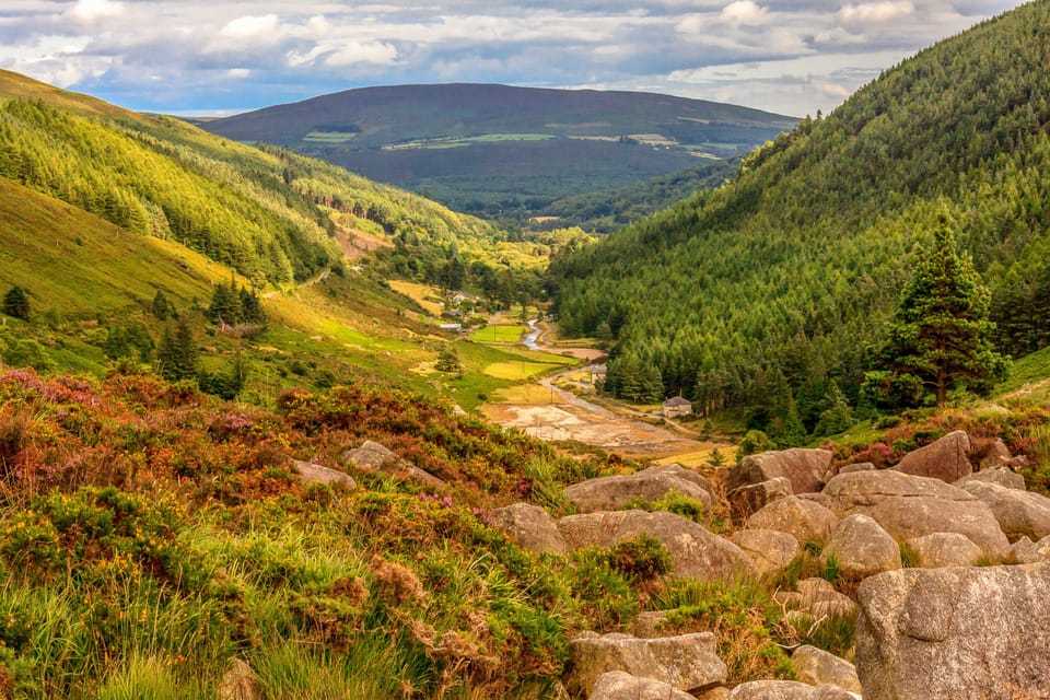 From Dublin: Wild Wicklow Mountains and Glendalough Tour - Sally Gap and Wicklow Mountains National Park: lakes, bogs, and big movie scenery