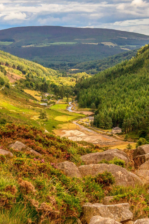 From Dublin: Wild Wicklow Mountains and Glendalough Tour - Killiney Hill and the Dublin coast: a 40-minute warm start