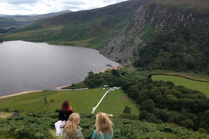Full Day Private Wicklow Tour - Sally Gap: mountain pass views with real story power