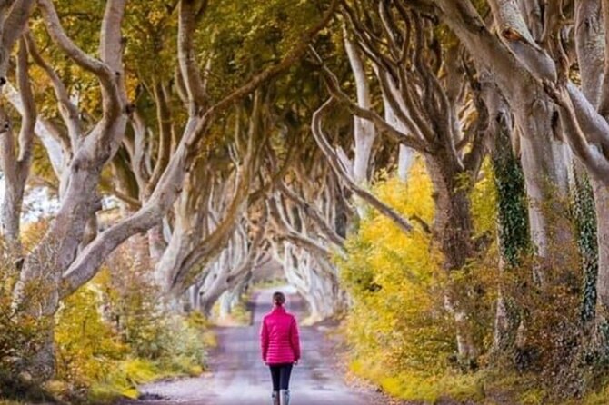 Giants Causeway and Belfast 2 Days with Private Chauffeur Tour - The driver and comfort factor: why this tour feels easier than “DIY”