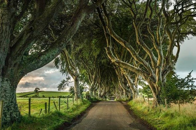Giant's Causeway Day Tour from Dublin - What the coach experience feels like: WiFi, USB ports, and long-day comfort