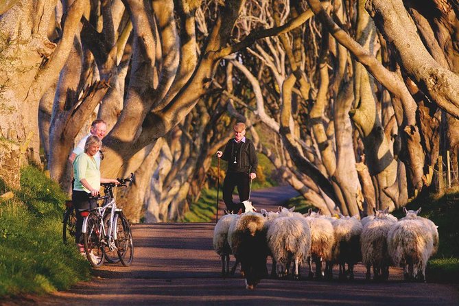 Giant's Causeway Day Tour from Dublin - Guide energy: why names like Shane and Michael come up