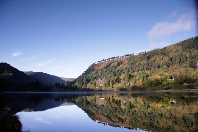 Glendalough and Dublin City Excursion - Ship to shore - On the bus: comfort, commentary, and guides like Conor