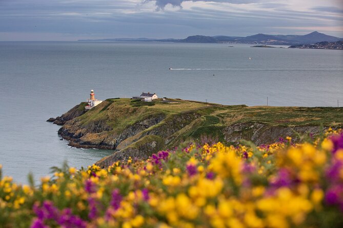 Howth Coastal Half-Day Bus Tour from Dublin with Live Guide - Quick Takes: What Makes This Howth Trip Worth Your Time