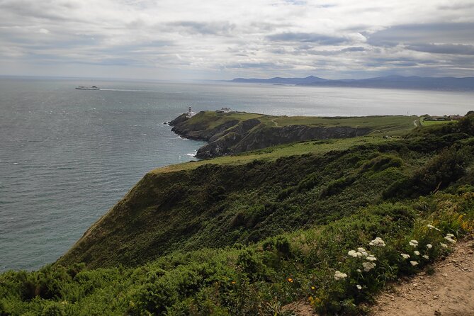 Howth Hiking Trail from Dublin: Mythology and Legend - Stop 1: Howth fishing port, seals, and early legend fuel