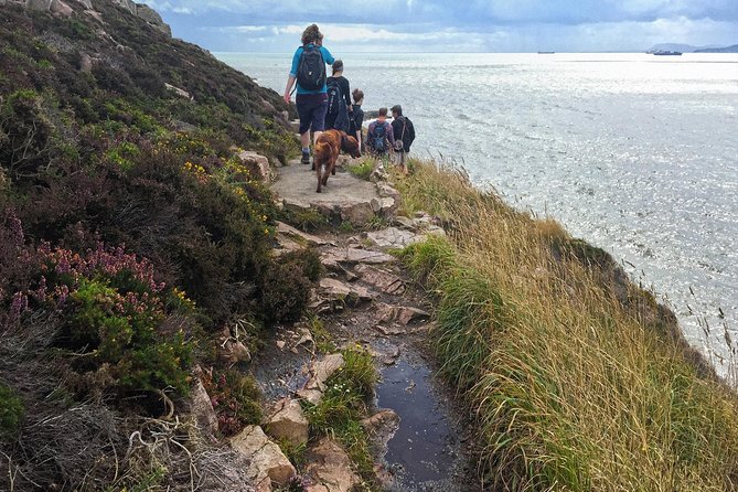 Howth Safari Hiking Tour - Should you book the Howth Safari Hiking Tour?