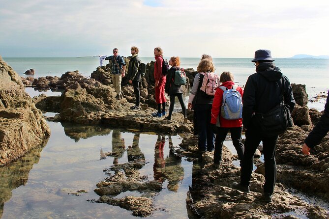 Howth Safari Hiking Tour - Stop by stop: what each part of Howth gives you
