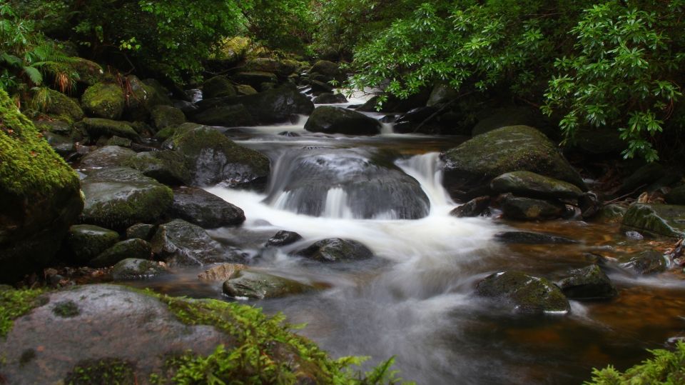 Ireland: 2 Day Wild Atlantic Way Tour - The Burren and Doolin: Limestone Weirdness Plus a Proper Lunch Break