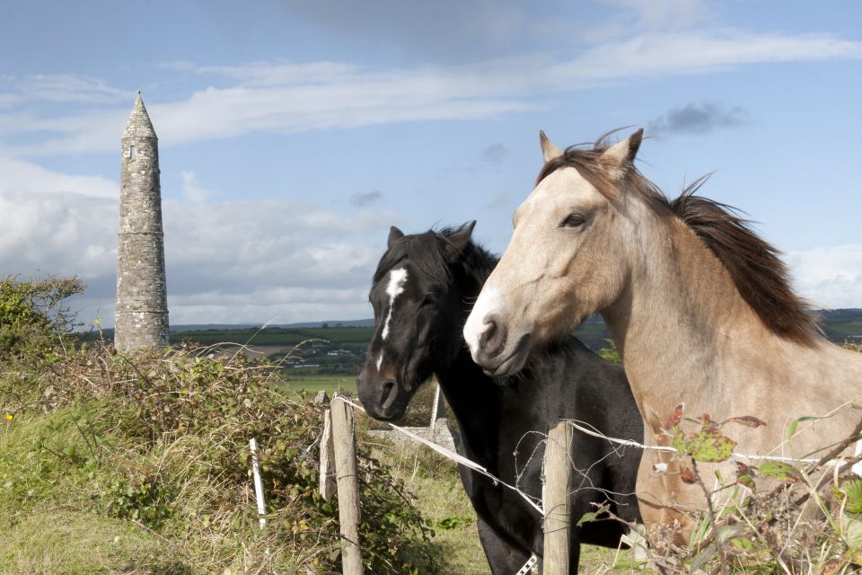 Ireland: Blarney Castle, Kilkenny & Irish Whiskey 3-Day Tour - Price and logistics: what you get for $788 and what to plan for