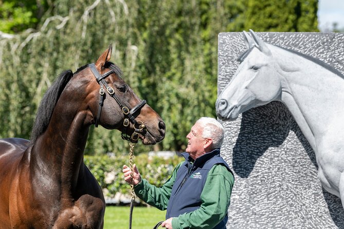 Irish National Stud & Gardens Skip the line Entrance - Price and value: what $22.98 buys you