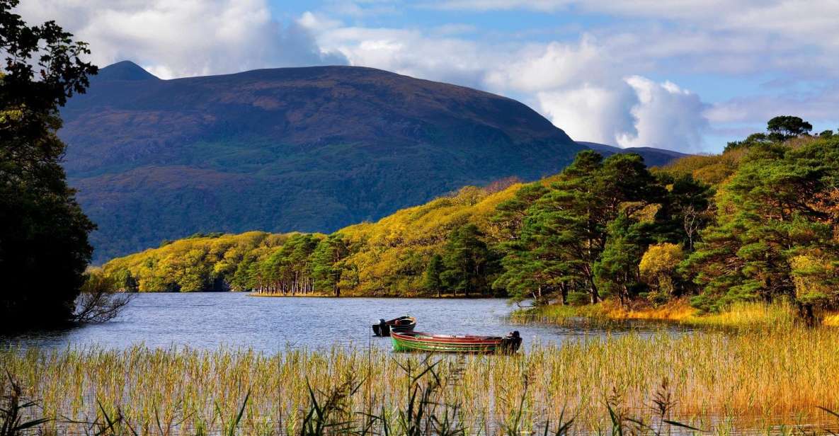 Kerry: Full-Day Tour from Dublin - 14 Hours on the Road: What the Bus Day Really Feels Like