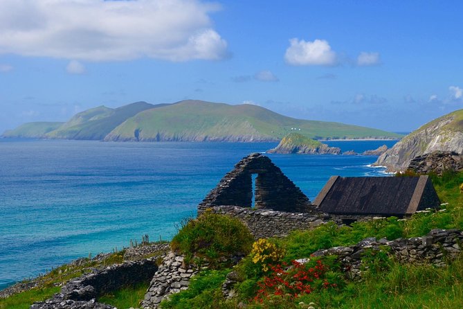 Luxury 'Luck of the Irish' Tour - 4 Day Tour - Your Mercedes van and driver-guide: what that changes for you