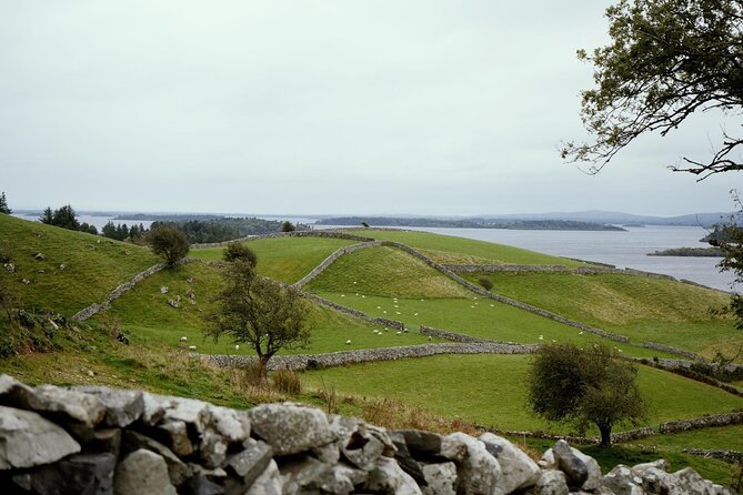 Private Day Tour Cliffs of Moher from Dublin - Key highlights worth your attention
