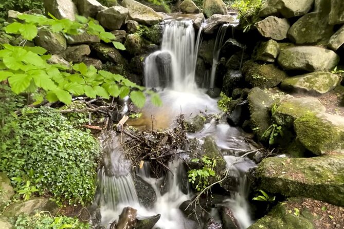 Private Garden of Ireland Wicklow Tour from Dublin - Key points to know before you go