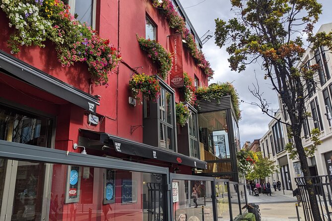 Private Guided Tour of Dublin in French - Dublin Castle from the outside: Viking roots to official power