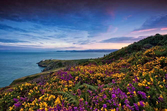 Private Howth Coastal Walk - Balscadden House and the Yeats connection
