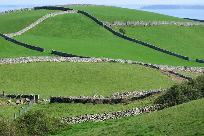 Private Luxury Tour of Newgrange and The Hill of Tara - Monasterboice: Optional Monastic Ruins Without the Pressure