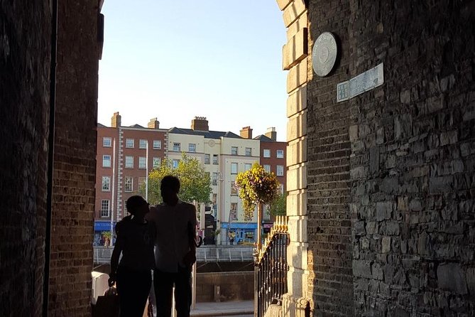 Private (Nearly!) All of Dublin in 5 hours (Walking Tour) - Christ Church Cathedral (and the crypt story you don’t forget)