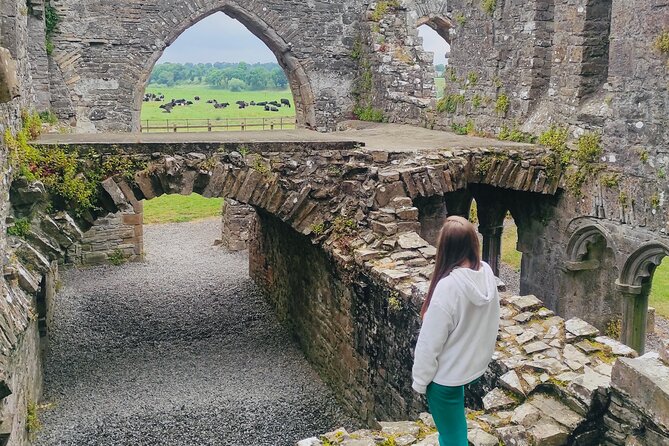 Private Tour from Dublin: Hill of Tara Trim Castle, Celtic sites - Diana’s style at Tara: flexible, story-driven, and not just lecturing