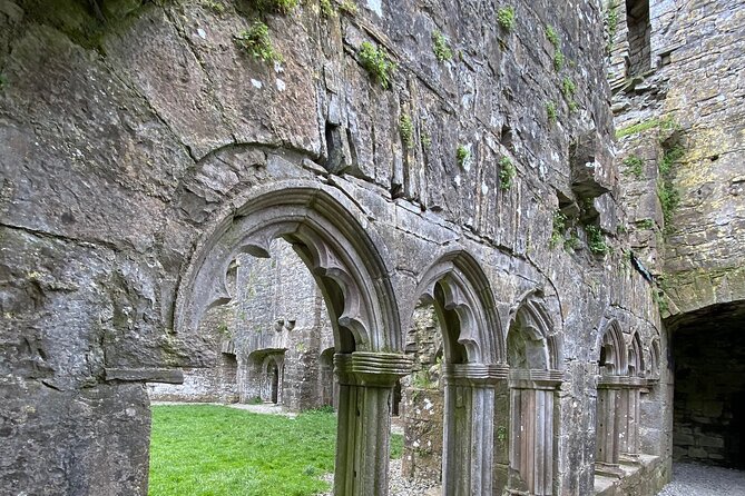 Private Tour from Dublin: Hill of Tara Trim Castle, Celtic sites - Trim Castle and the medieval town of Trim on foot