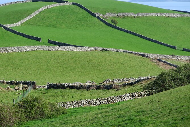 Private Tour of Newgrange and The Hill of Tara - Hill of Tara: kings, religion, and hilltop views with a story guide
